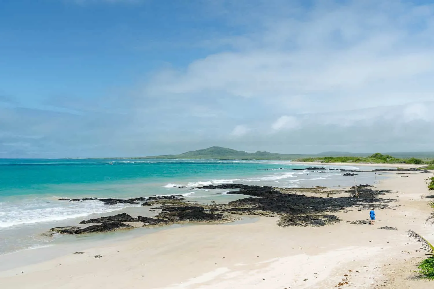 Puerto Villamil beach in Isabela island