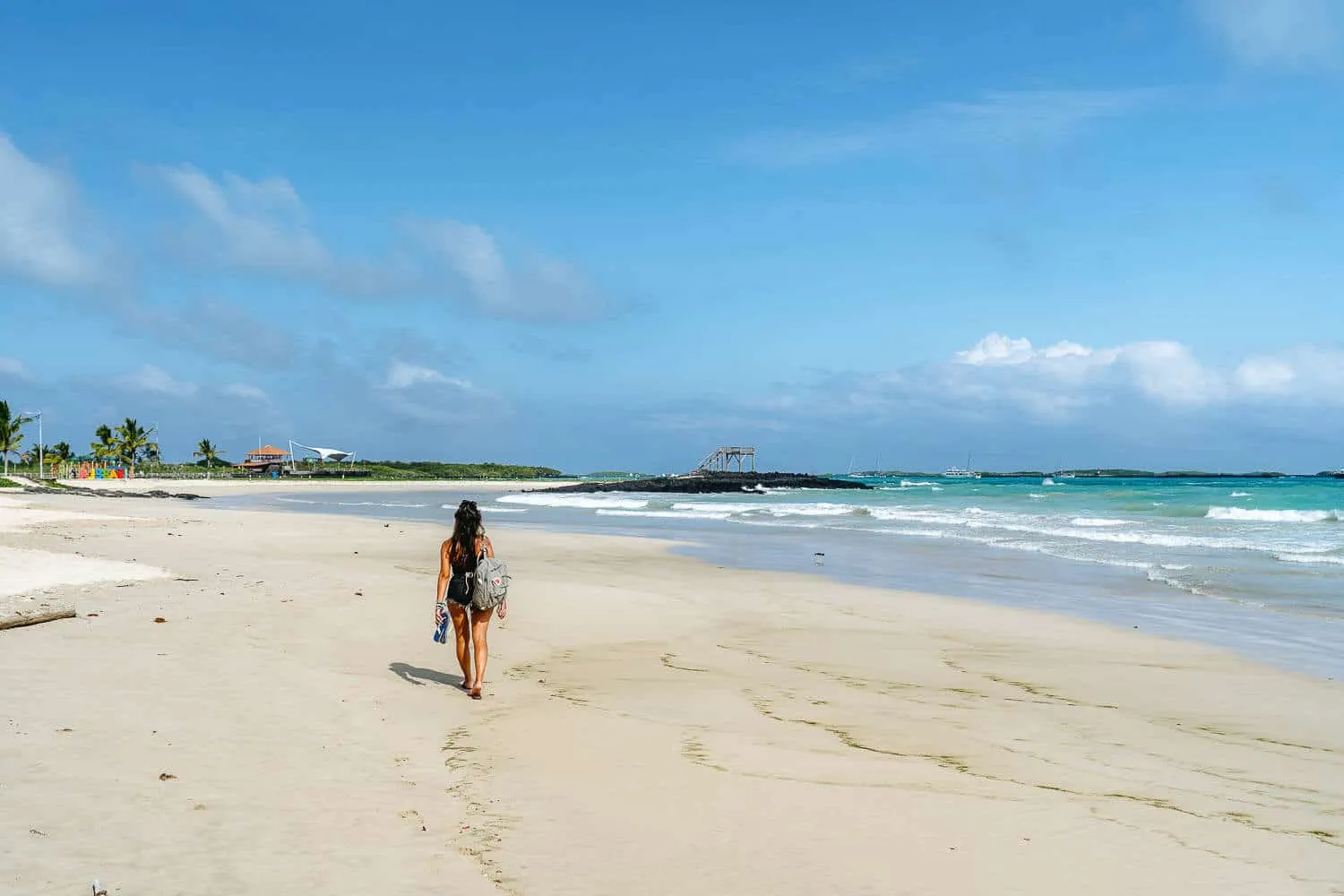 The first day in Isabela island
