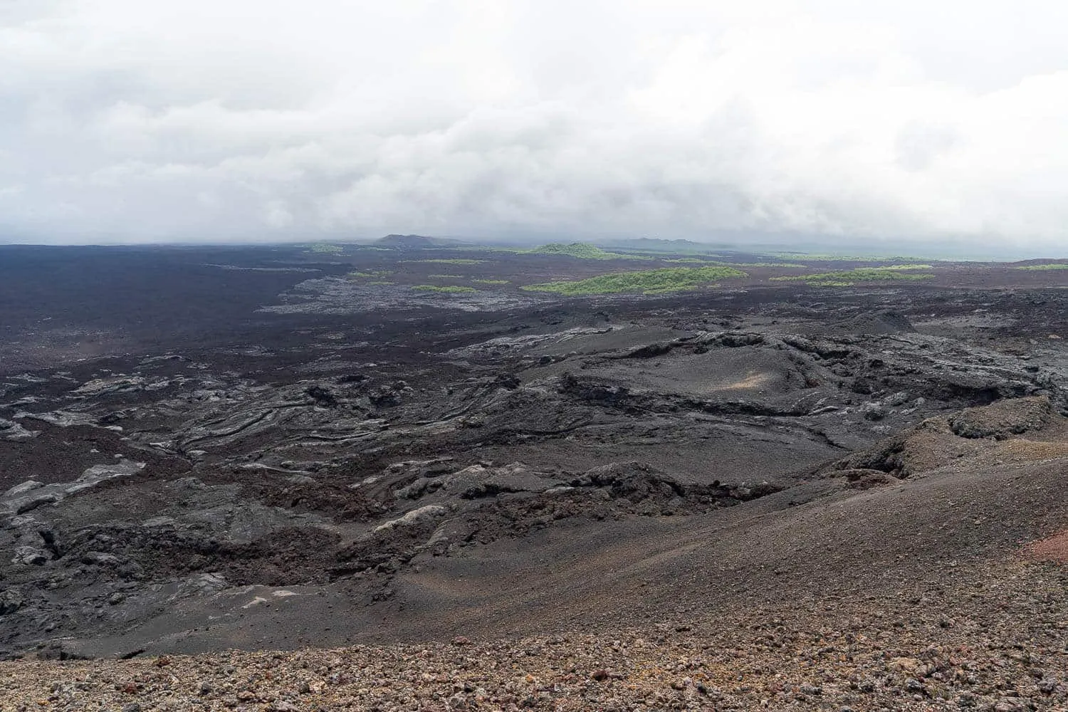 The lava fields seen from Chico volcano's viewpoint