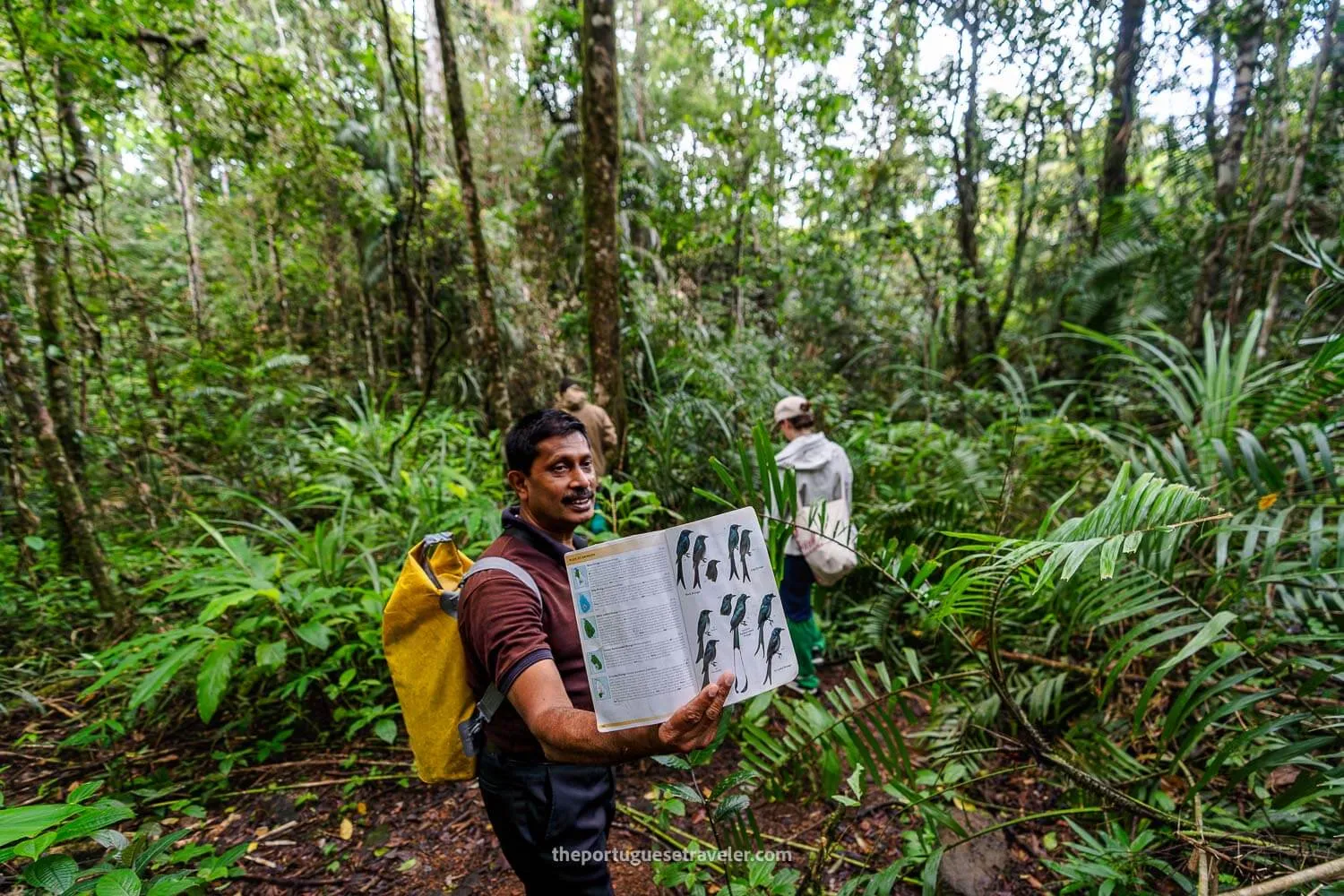 The guide at the Jungle Hike showing us the bird we just saw