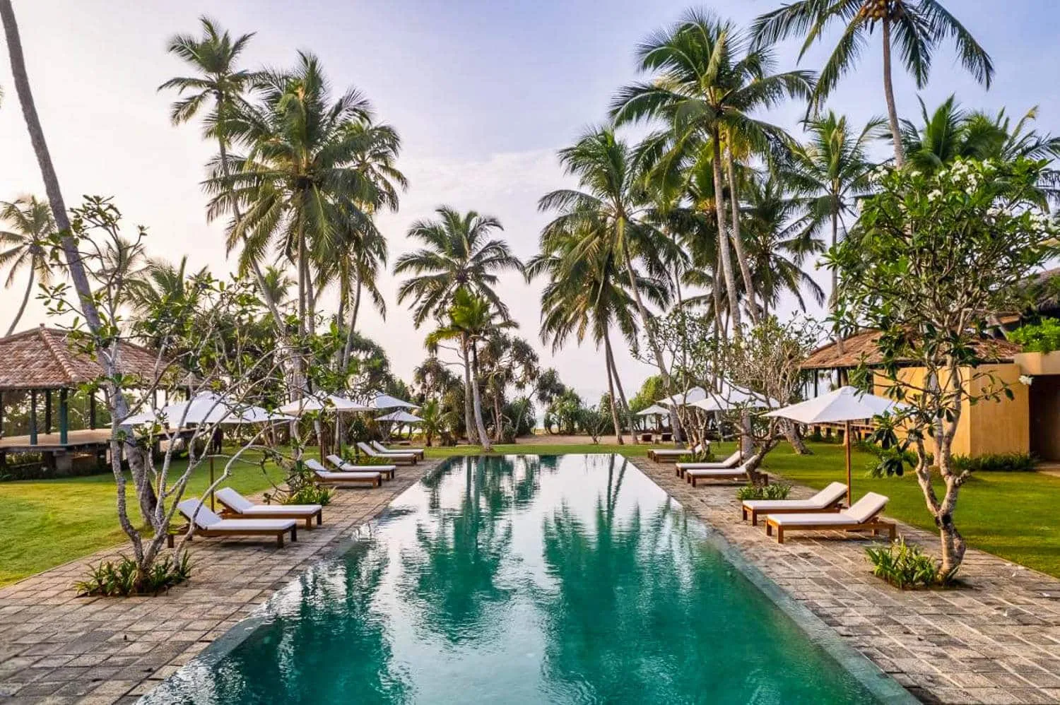 20 Best Hotels in Sri Lanka - Budget to Luxurious (2026 Guide)