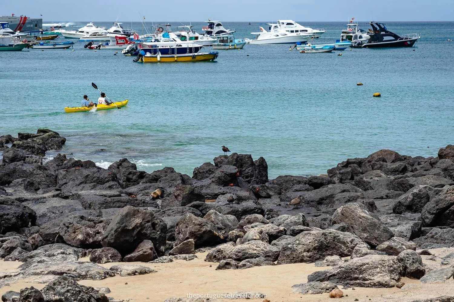 Kayaking in San Cristobal