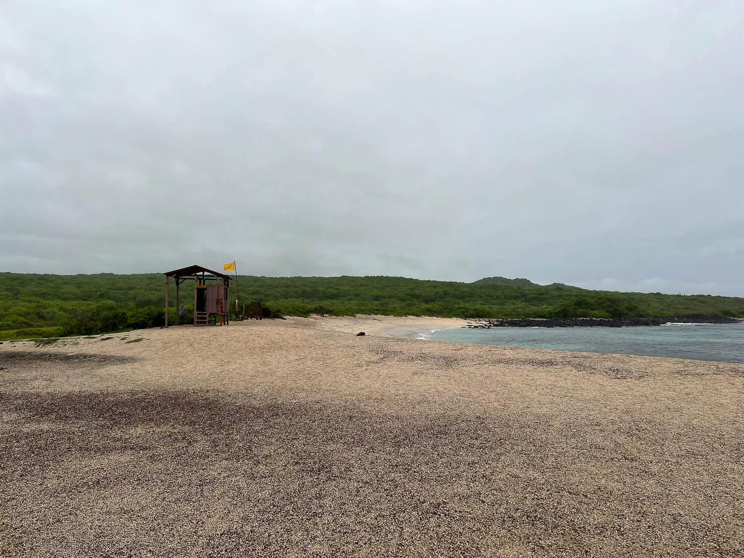 The wooden hut at La Loberia
