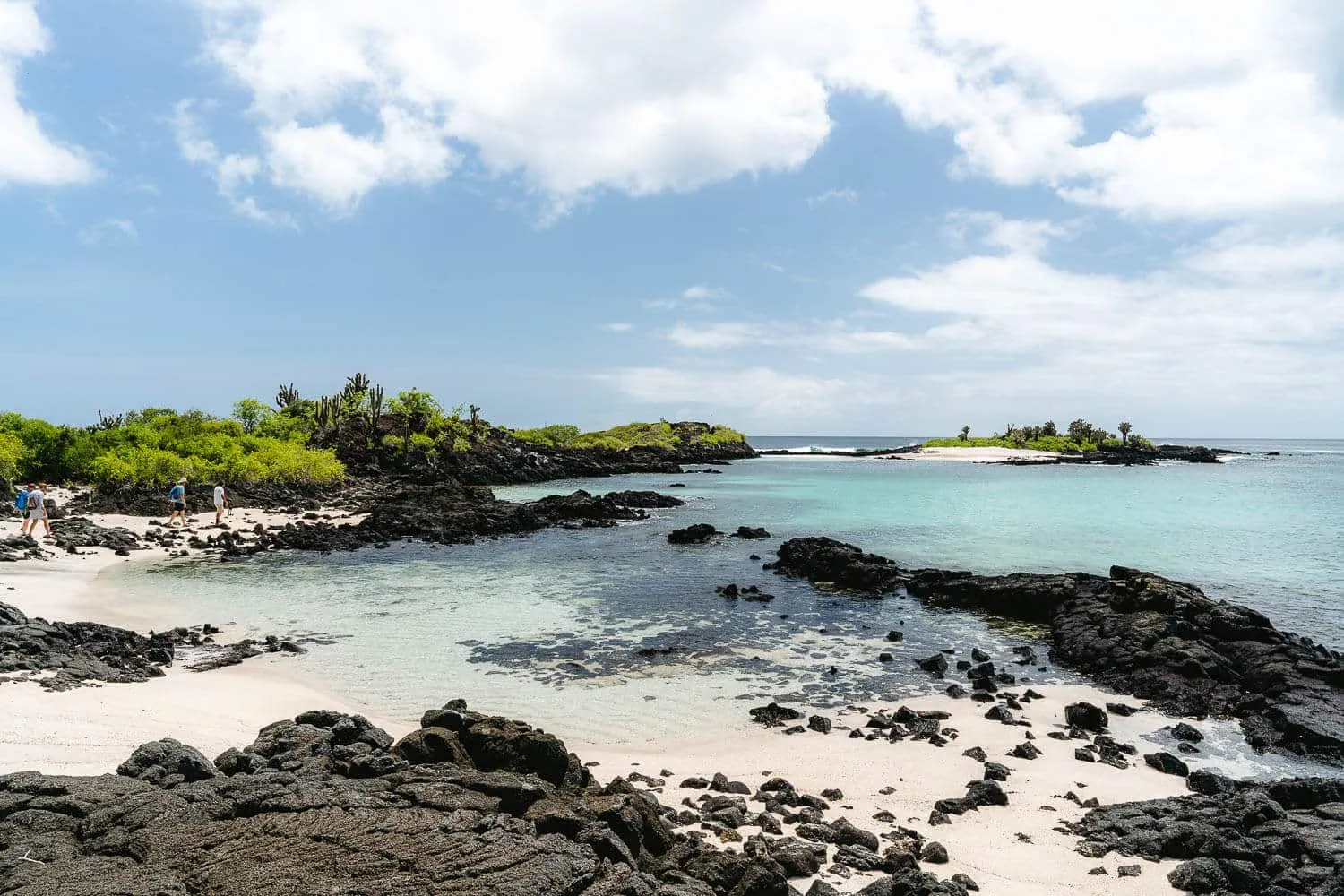 The Loberia beach in Floreana island