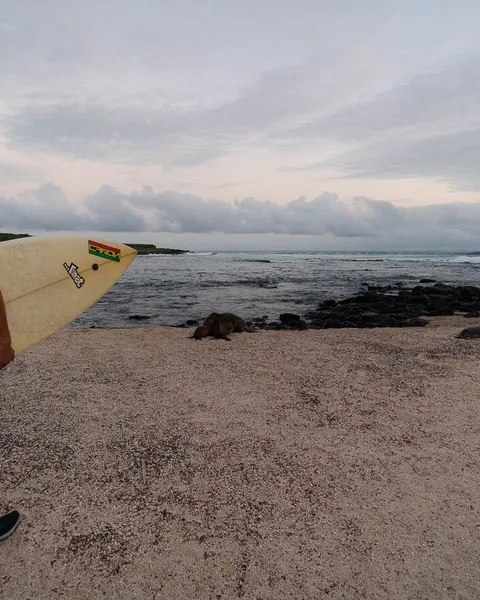 La Loberia Beach in San Cristobal, Galapagos: Detailed Guide