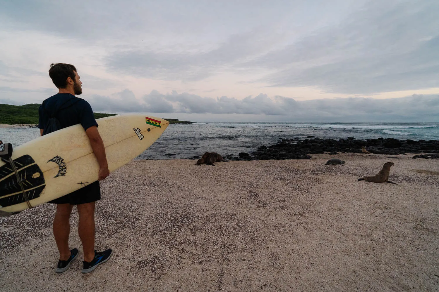 La Loberia Beach in San Cristobal, Galapagos: Detailed Guide