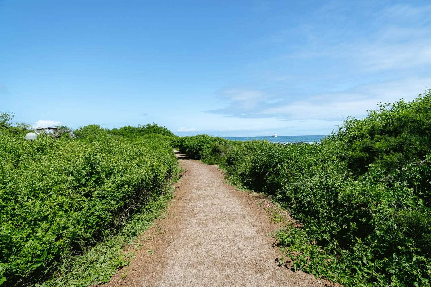 The way to Ratonera beach in the Charles Darwin Research Center