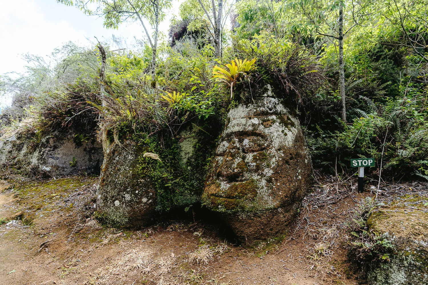 Giant heads sculptures
