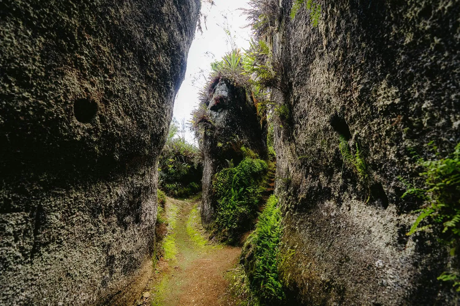 Isla Floreana Labyrinths, one of the best Galápagos Islands tours.
