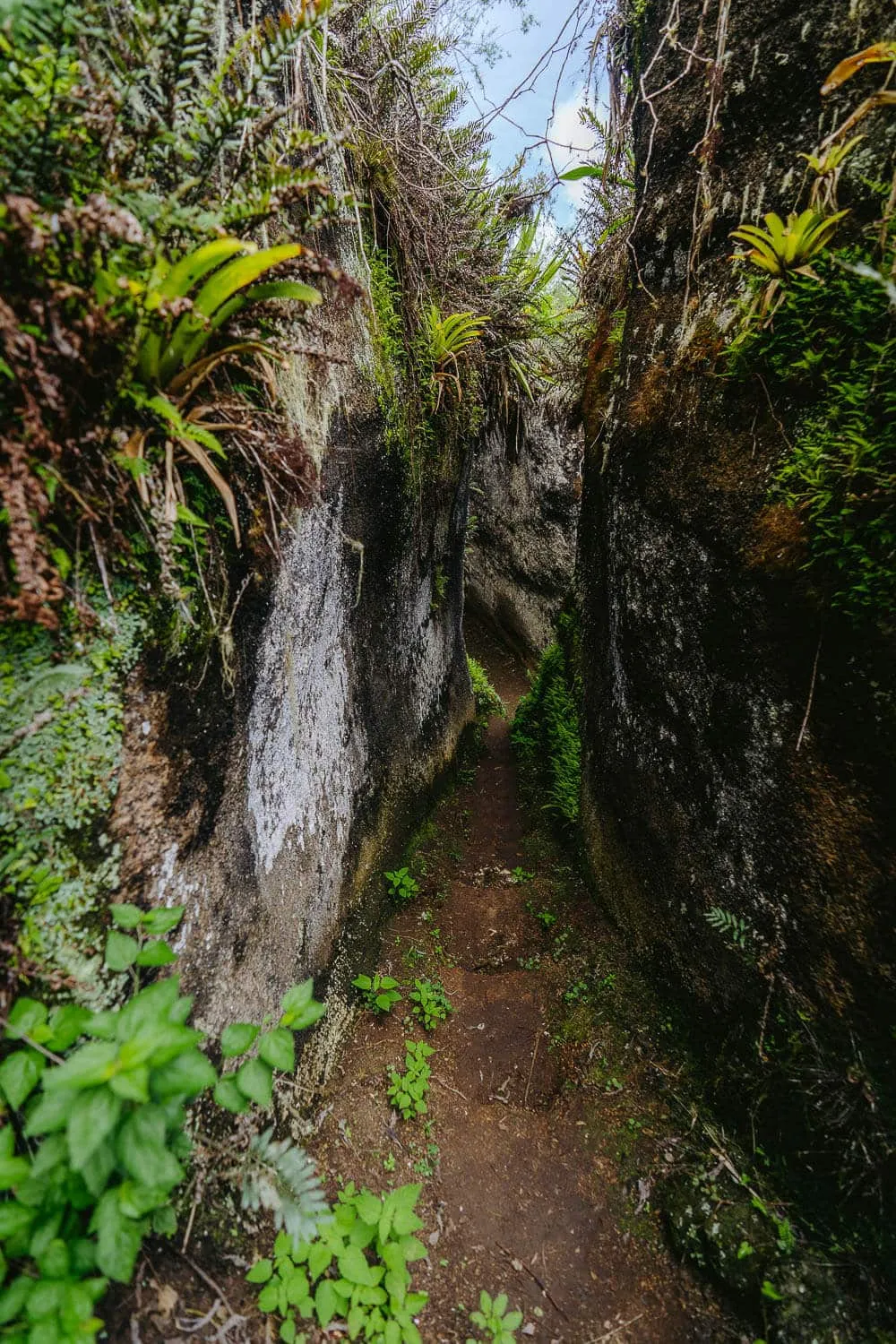 More parts of the labyrinth