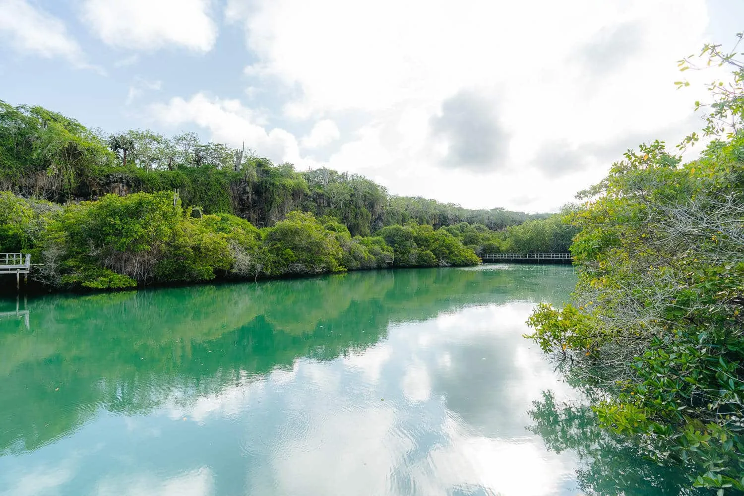 Nymphs Lagoon in Santa Cruz