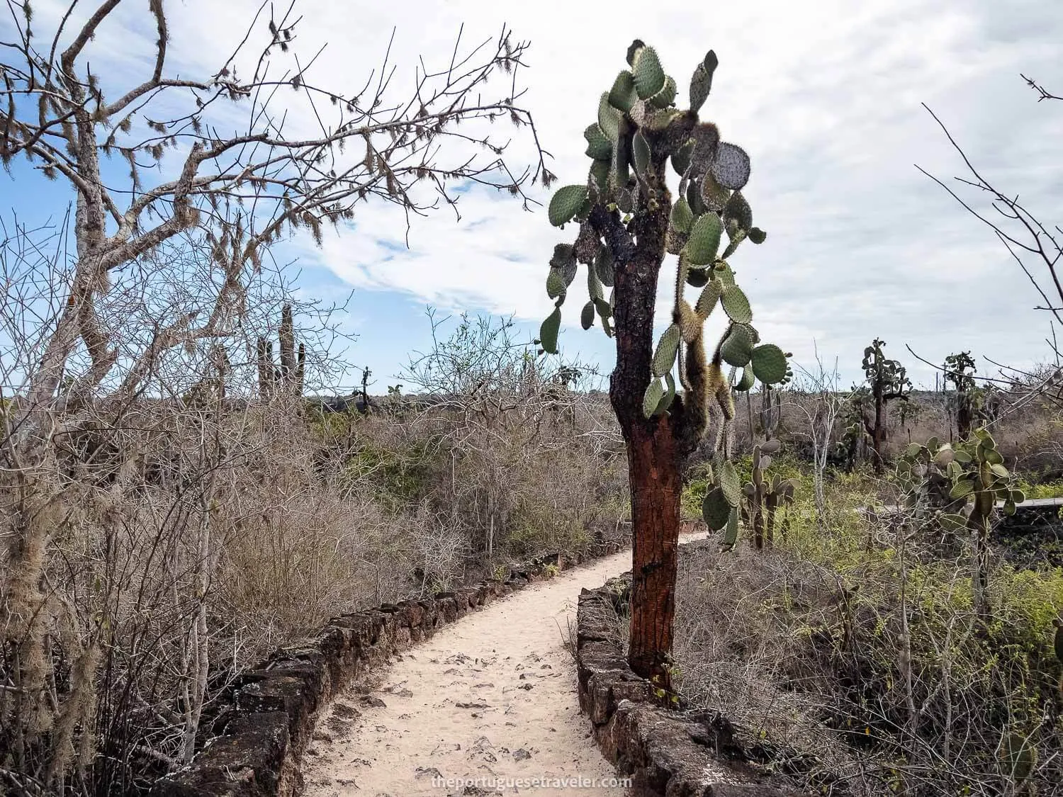 The way to Las Grietas