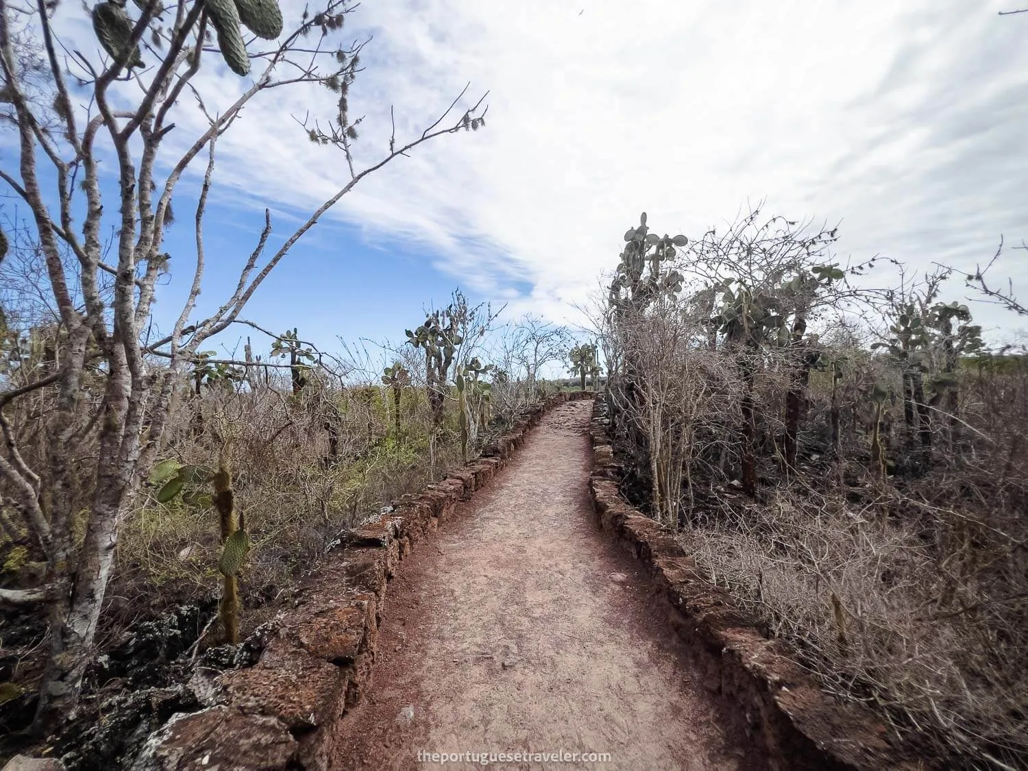 The pathway to Las Grietas from Alemanes beach