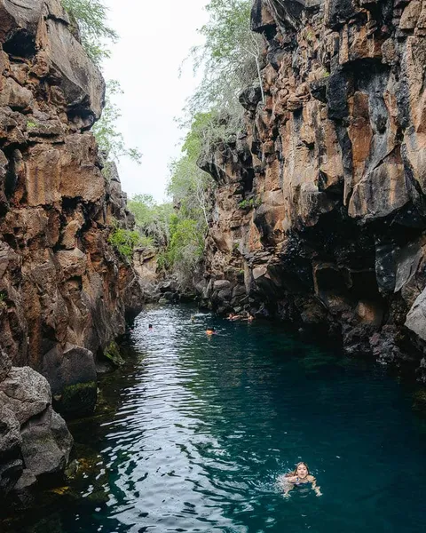 Bay Tour in Santa Cruz, Galapagos: Half-Day Tour