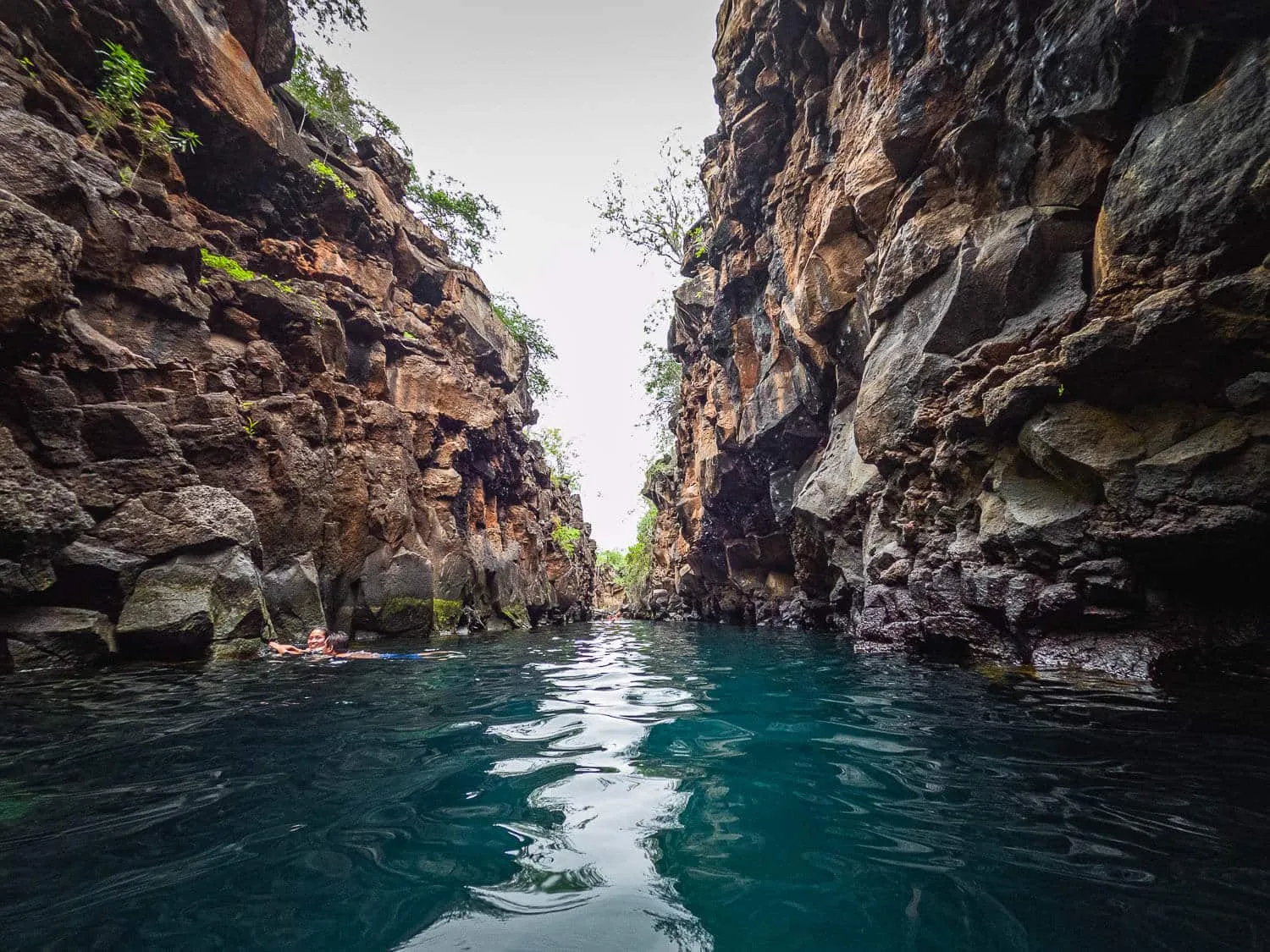 Inside Las Grietas on the Bay Tour, one of the best Galápagos Islands tours.