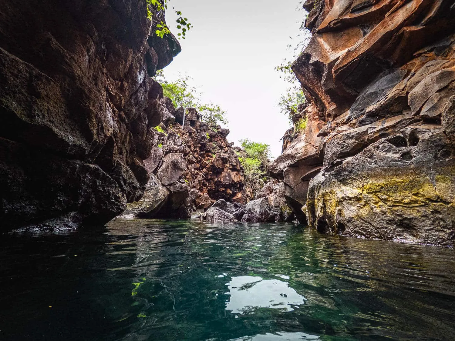 The second section of Las Grietas - Galapagos 10 Day Itinerary