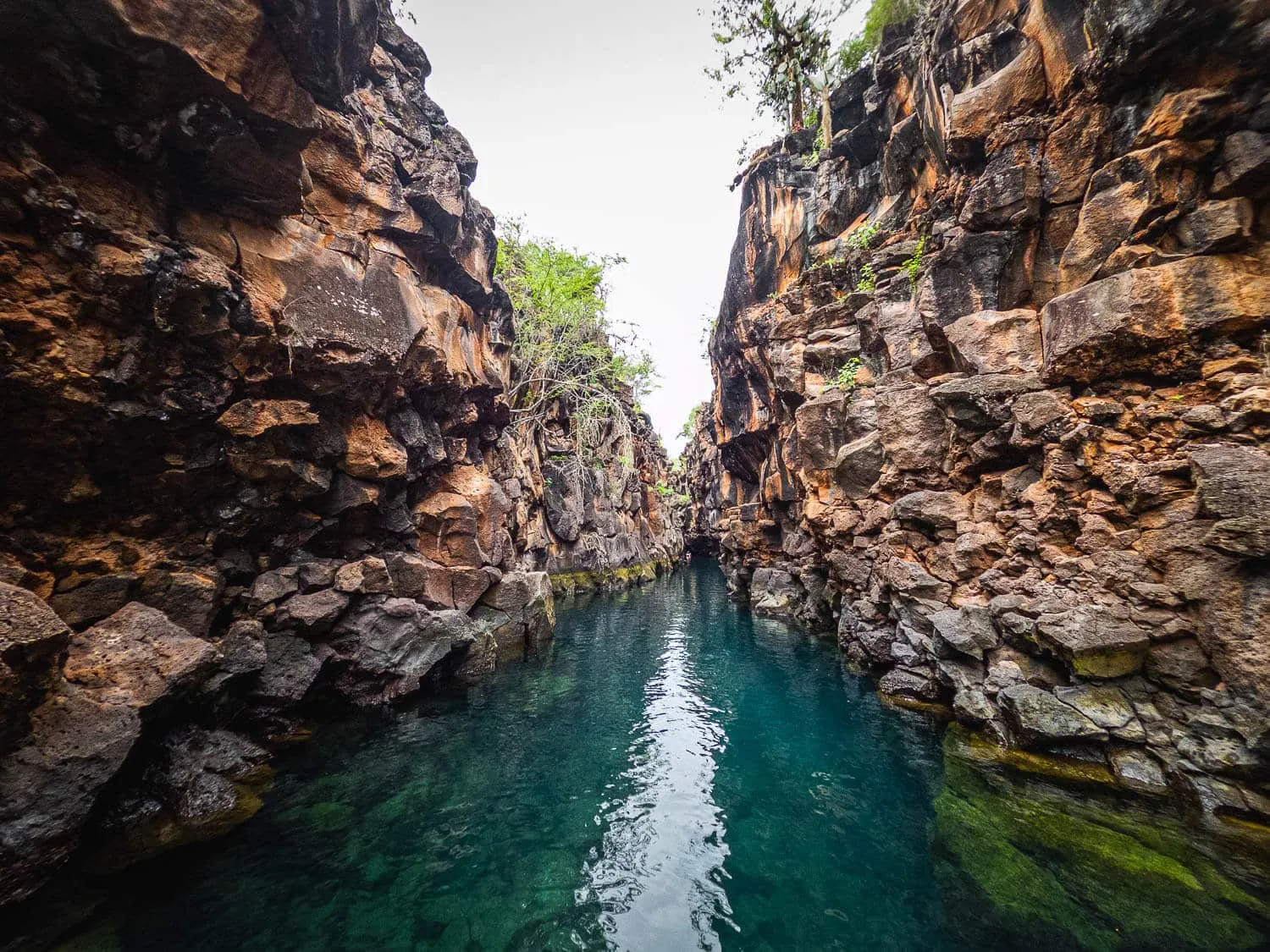 The second section of Las Grietas in Santa Cruz, Galapagos - Galapagos 5 Day Itinerary