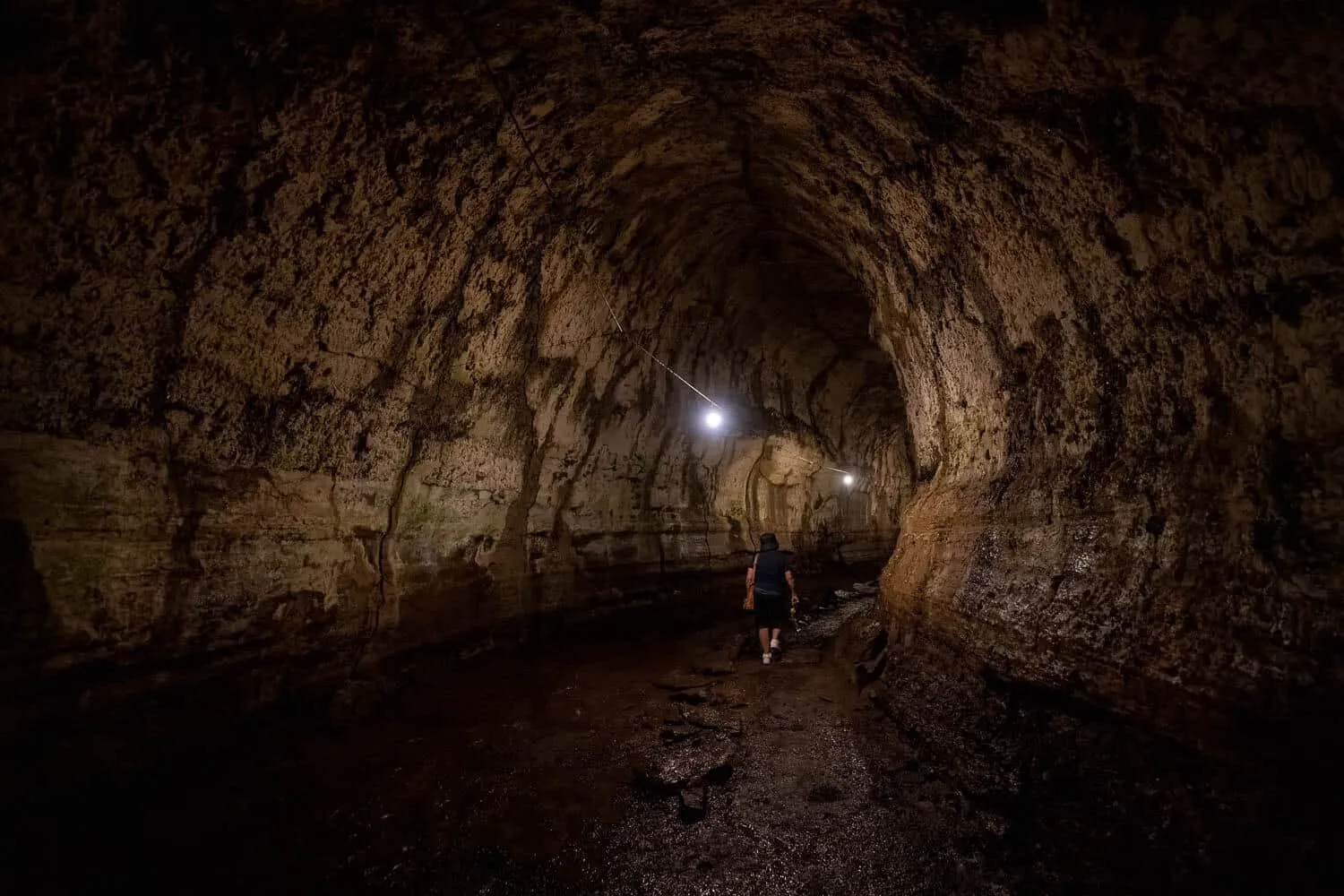 Lava Tunnels in Santa Cruz, Galapagos - Galapagos 7 Day Itinerary