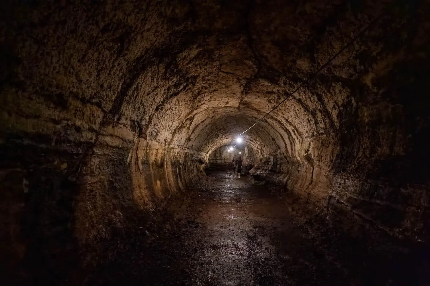 The perfectly lava-shaped tunnels of Santa Cruz