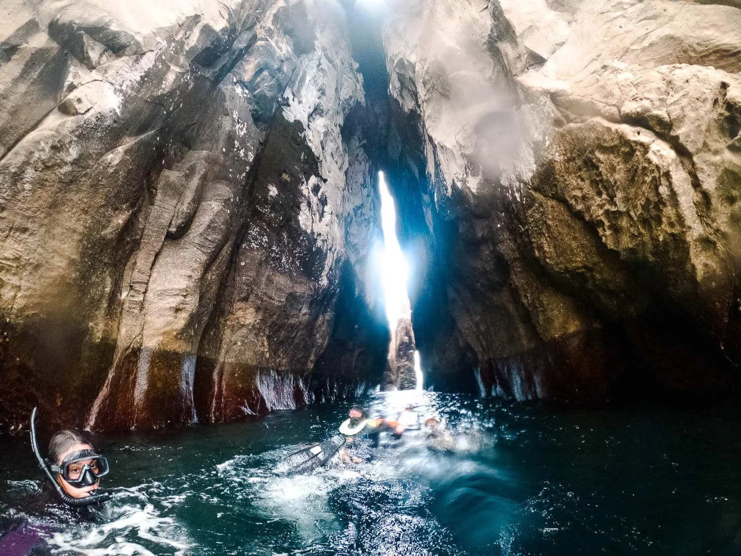 Snorkelling in Kicker Rock's channel on the 360 Tour in San Cristobal