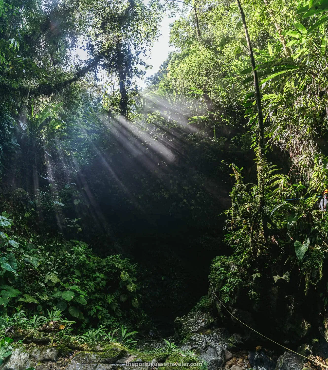 The light beams produced by the moisture coming from inside the cave, on the Cueva de Los Tayos expedition.