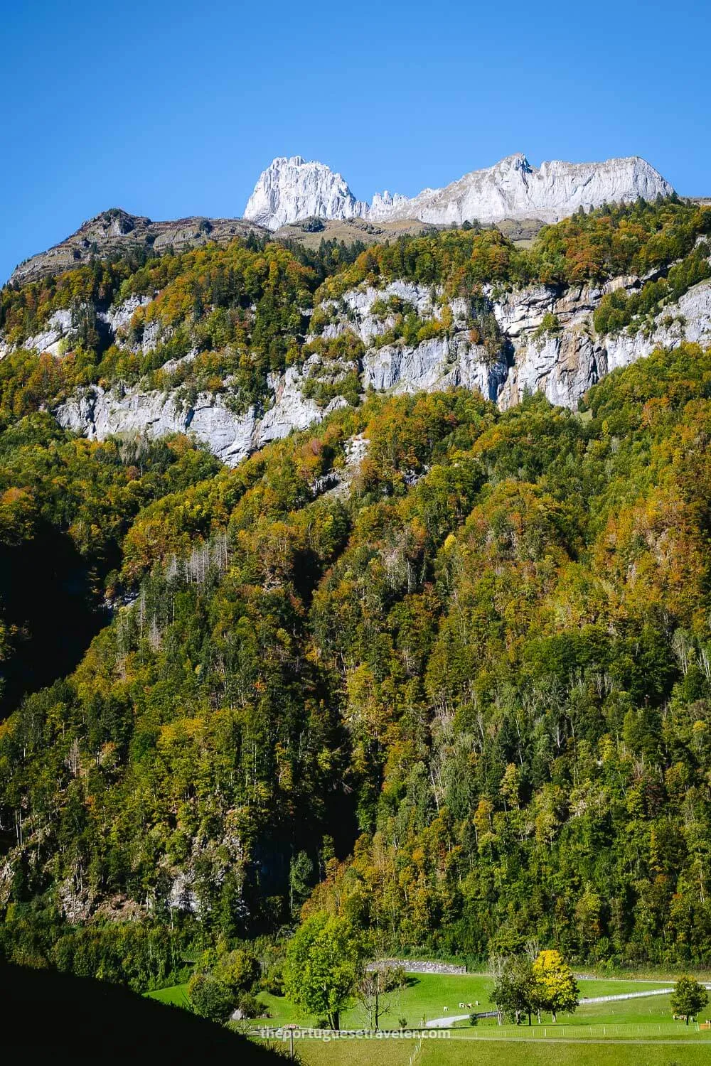 The Autumn colours in Glarus