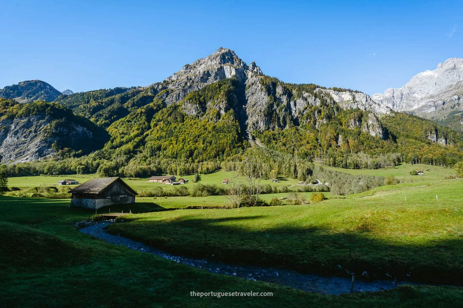 The green surroundings of the hike to the Luftseilbahn station