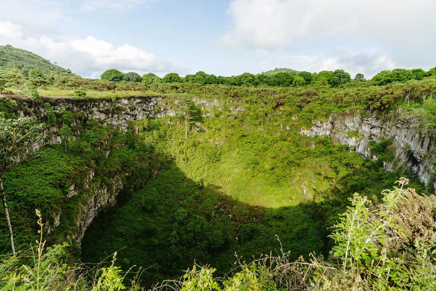 Highlands Tours in Santa Cruz, Galapagos: Half-Day Tour