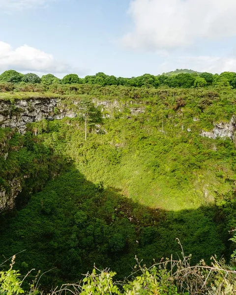 Highlands Tours in Santa Cruz, Galapagos: Half-Day Tour