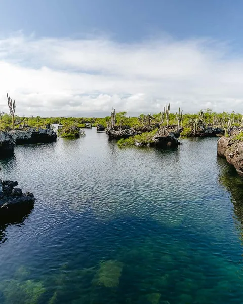 7 Best Snorkeling Spots in Isabela, Galapagos: Snorkel Guide