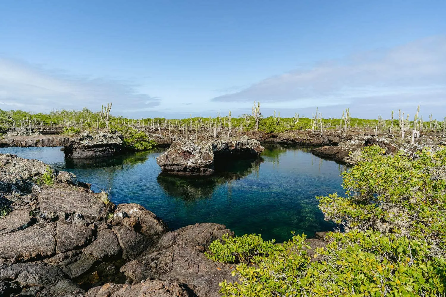 Los tuneles seen from above