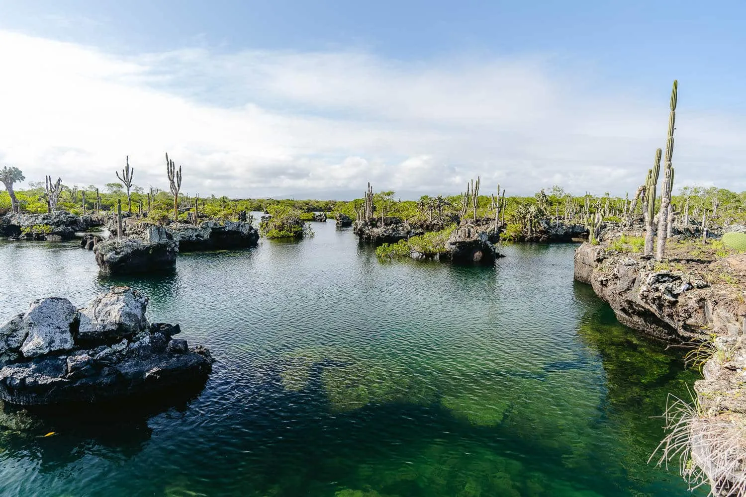 Los Tuneles in Isabela island