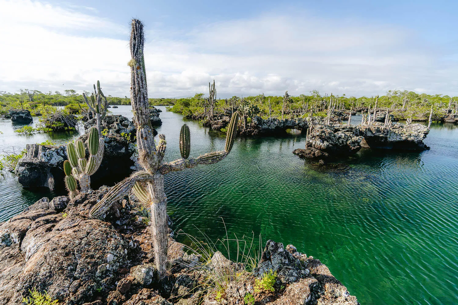 Los Tuneles tour, or Cabo Rosa in Isabela island, Galápagos