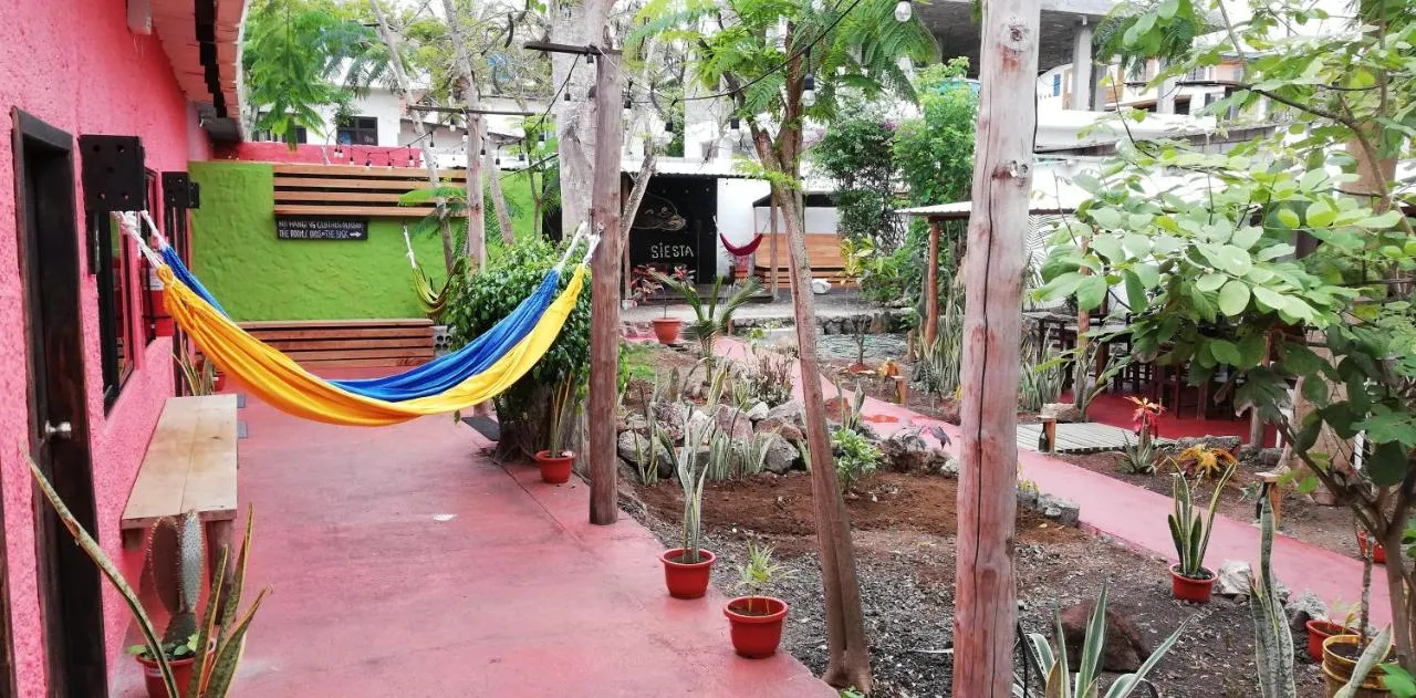 Morning Glory Hostal in Santa Cruz, Galapagos