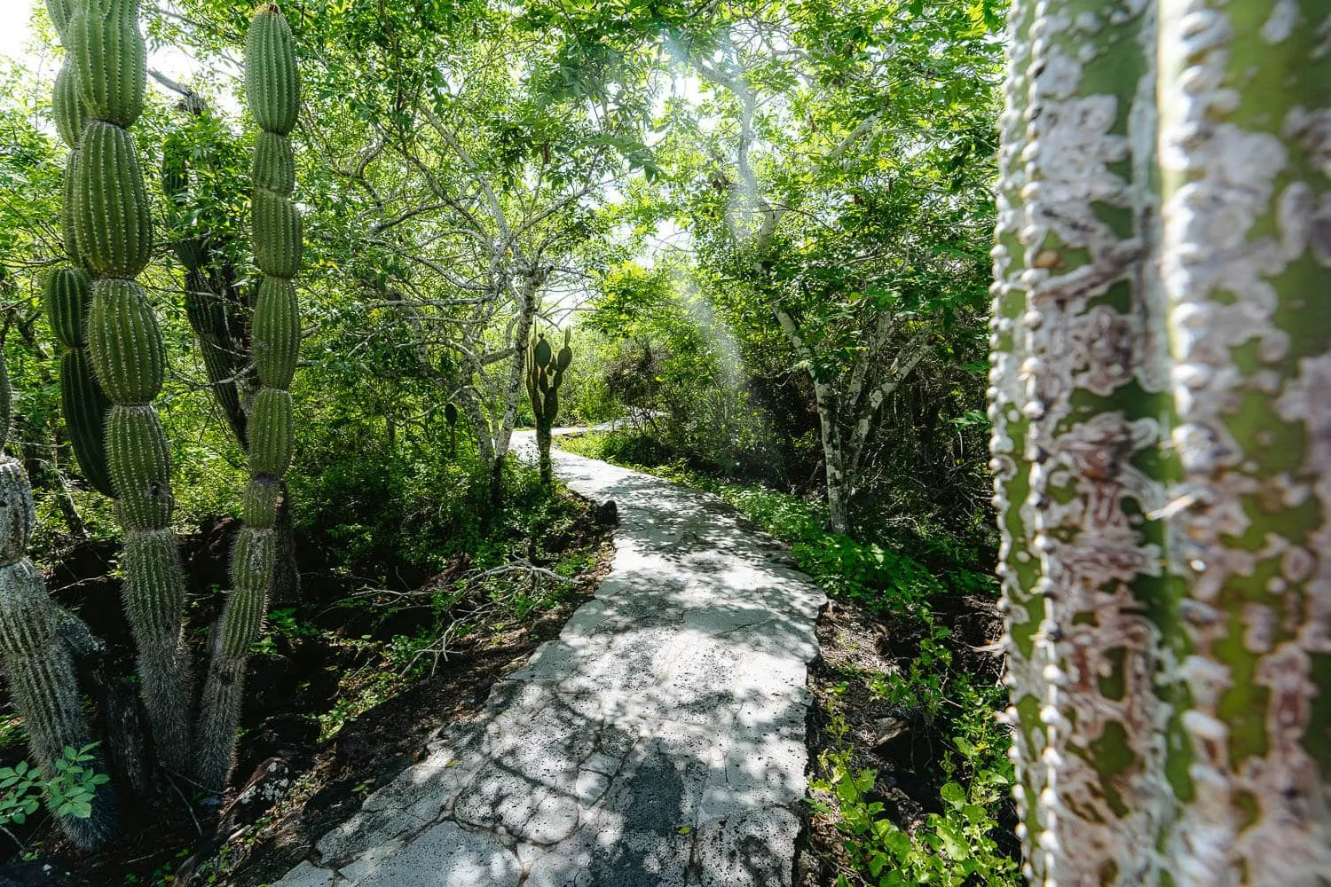 The way back to the interpretation center