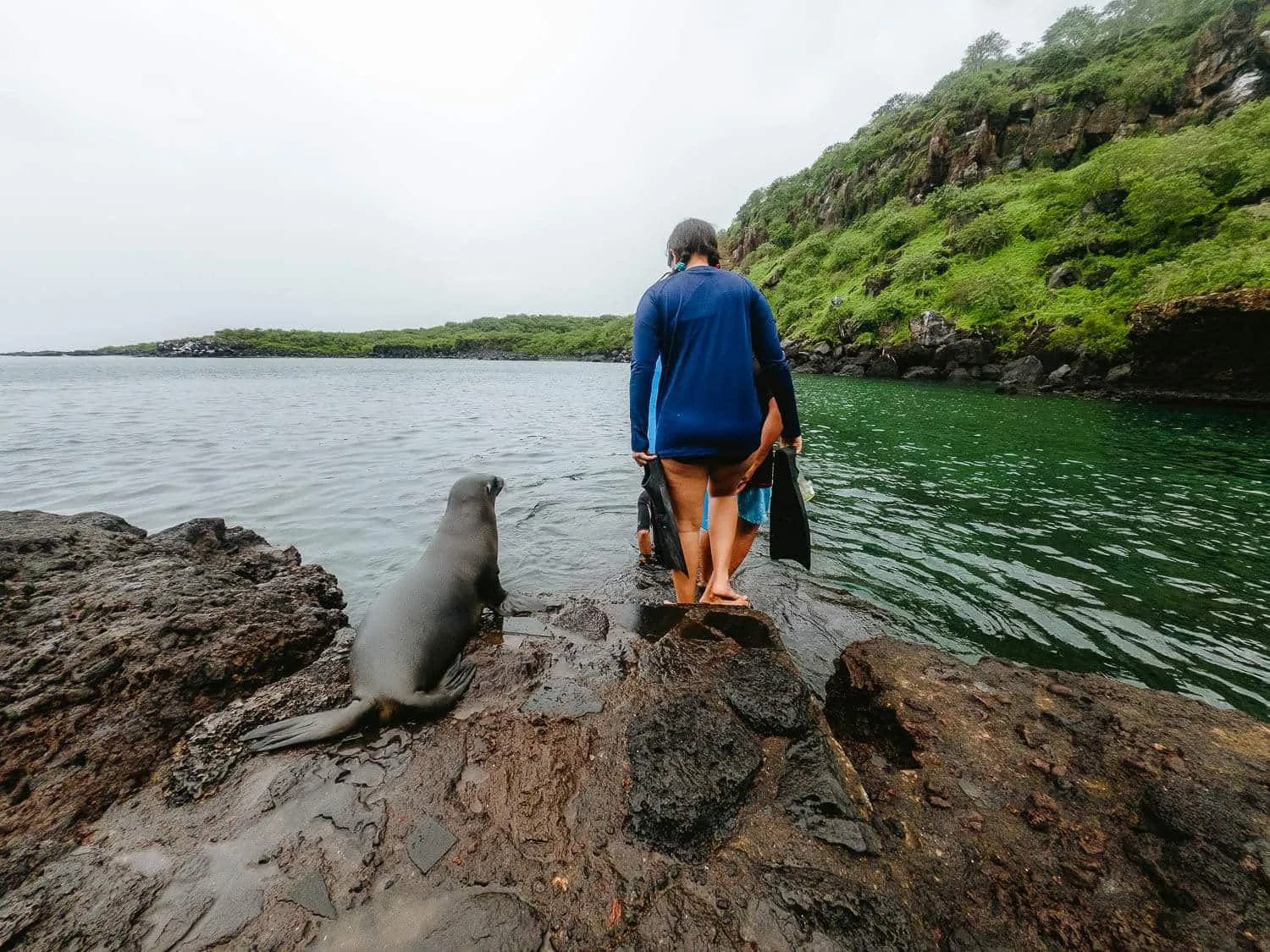 A sea lion and the locals at Muelle Tijeretas, San Cristobal, Galápagos