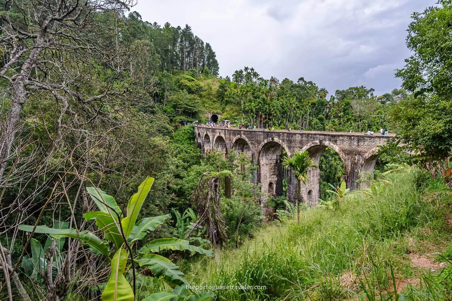 The first glimpses of the bridge