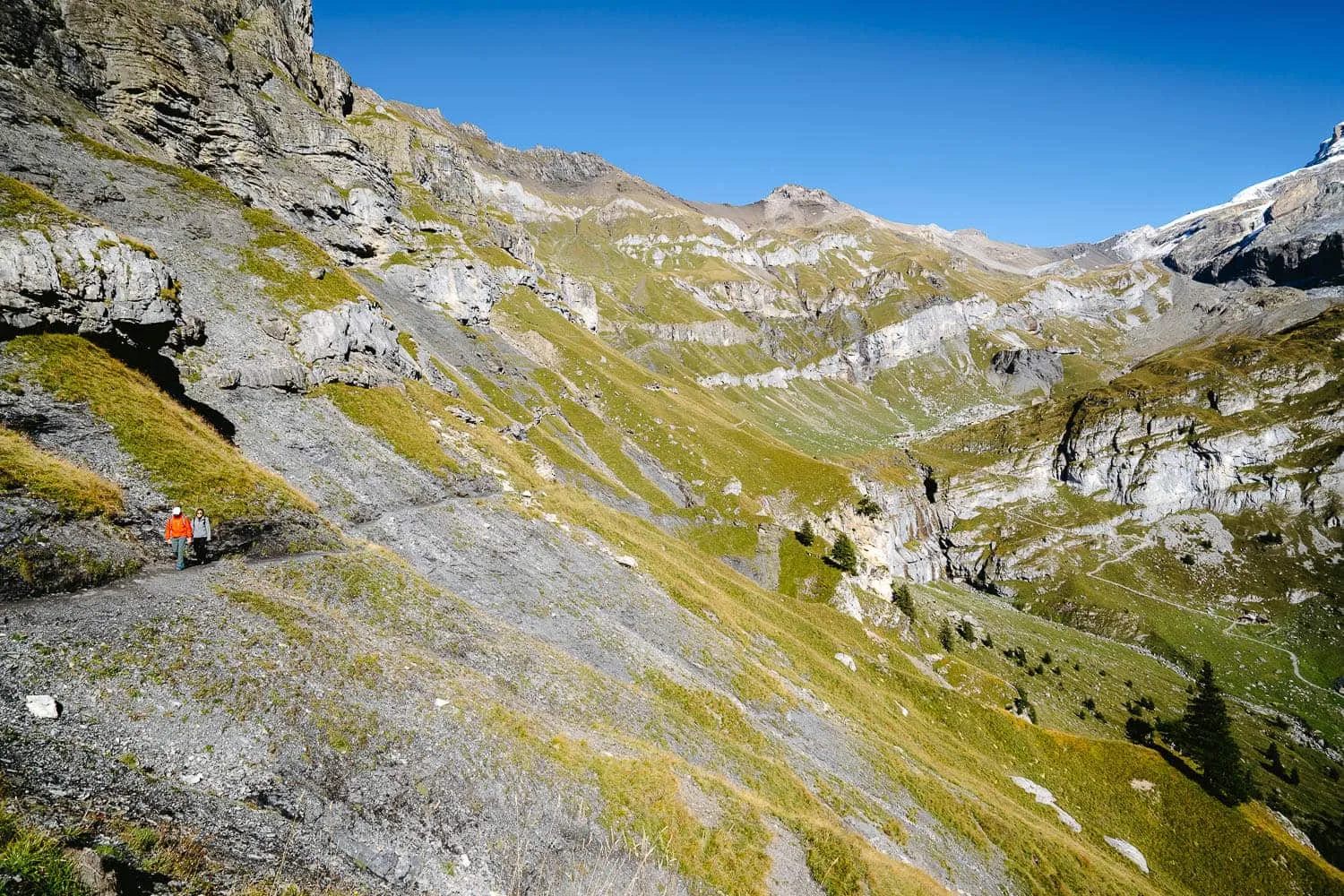 The hiking path on the Panorama Trail