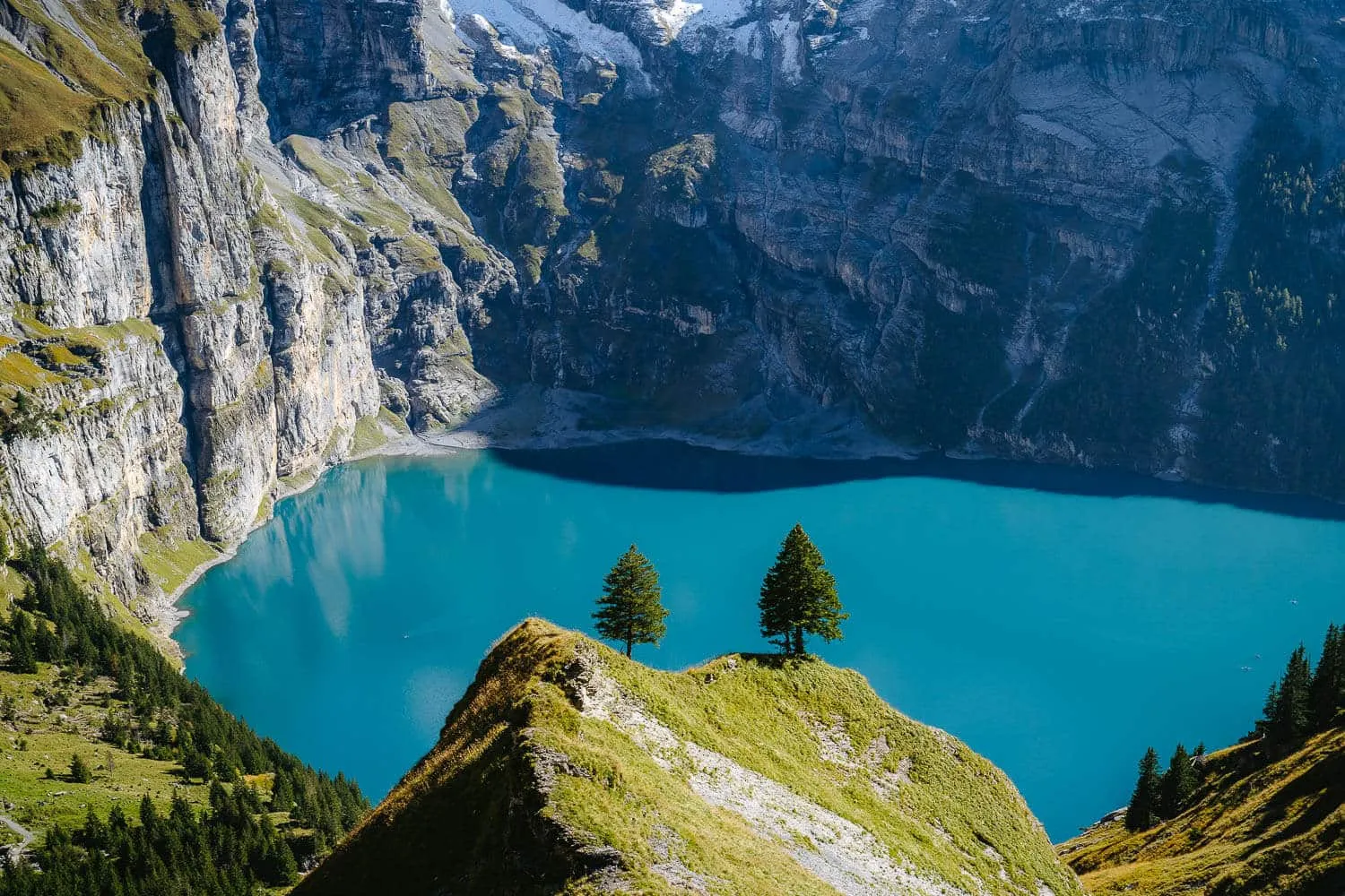 The most picturesque trees on the entire hike