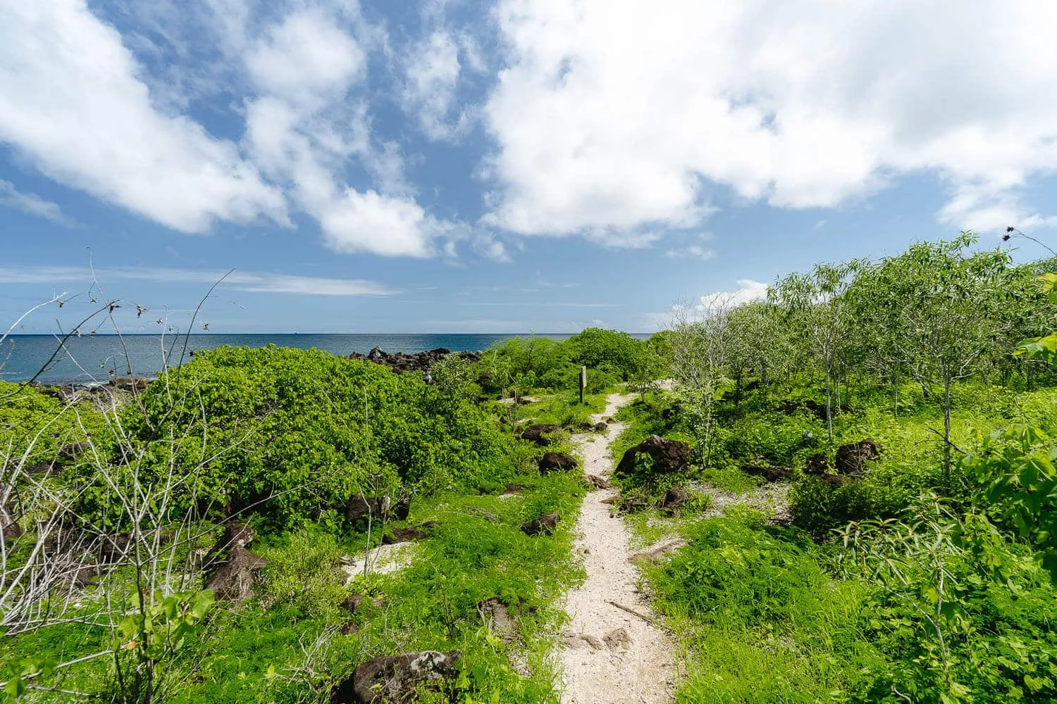 The hike to Playa Baquerizo opening up to the sea