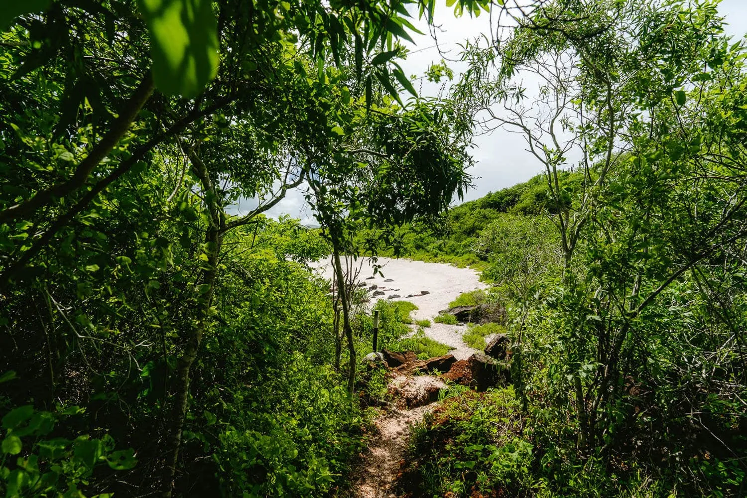 The entrance to Playa Baquerizo beach