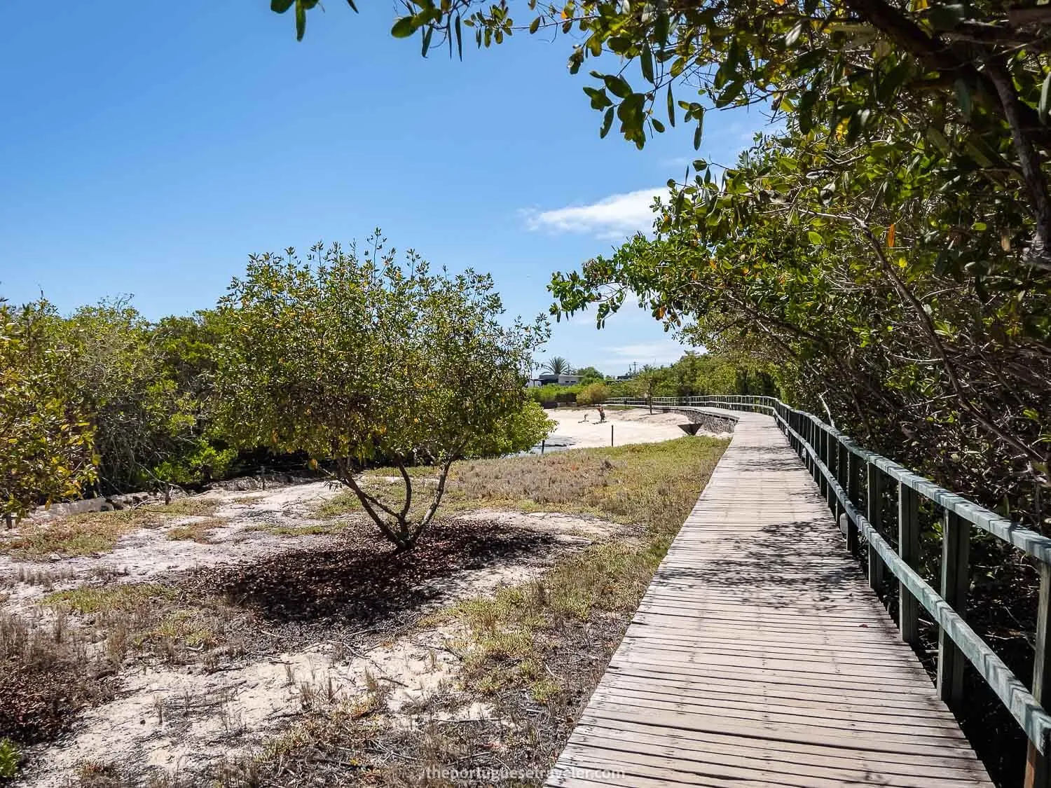 The wooden path to Finch Bay Hotel and Playa de los Alemanes