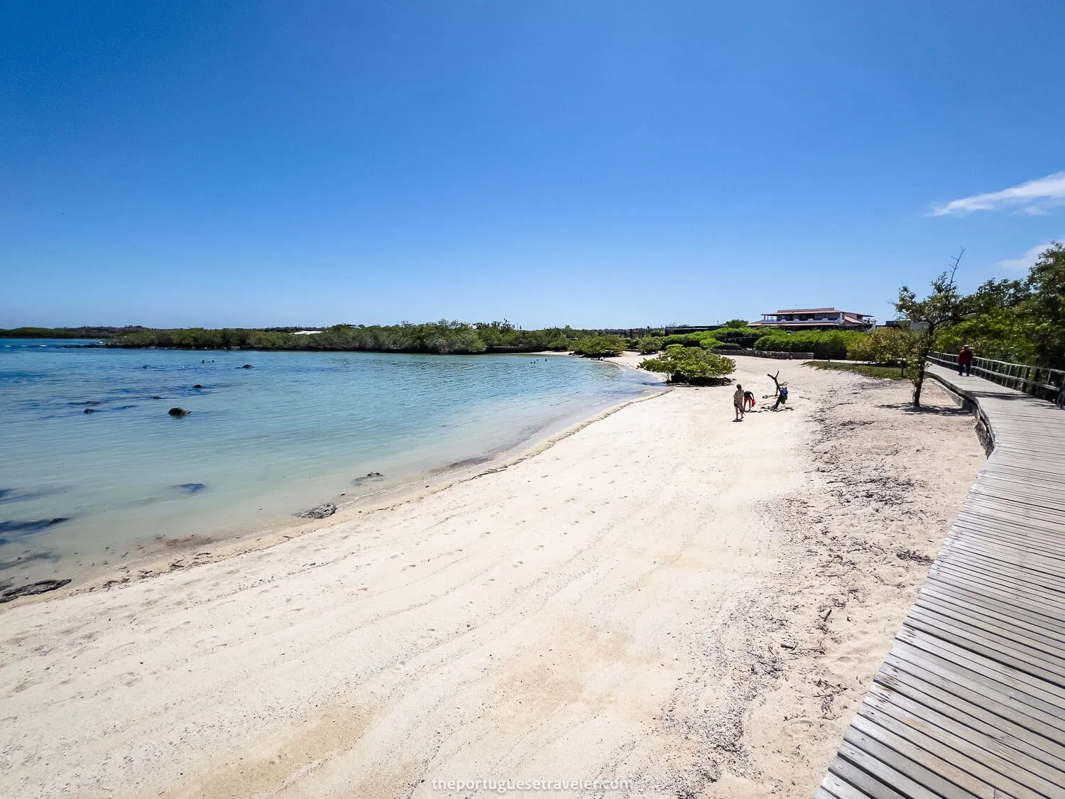 The Playa de los Alemanes