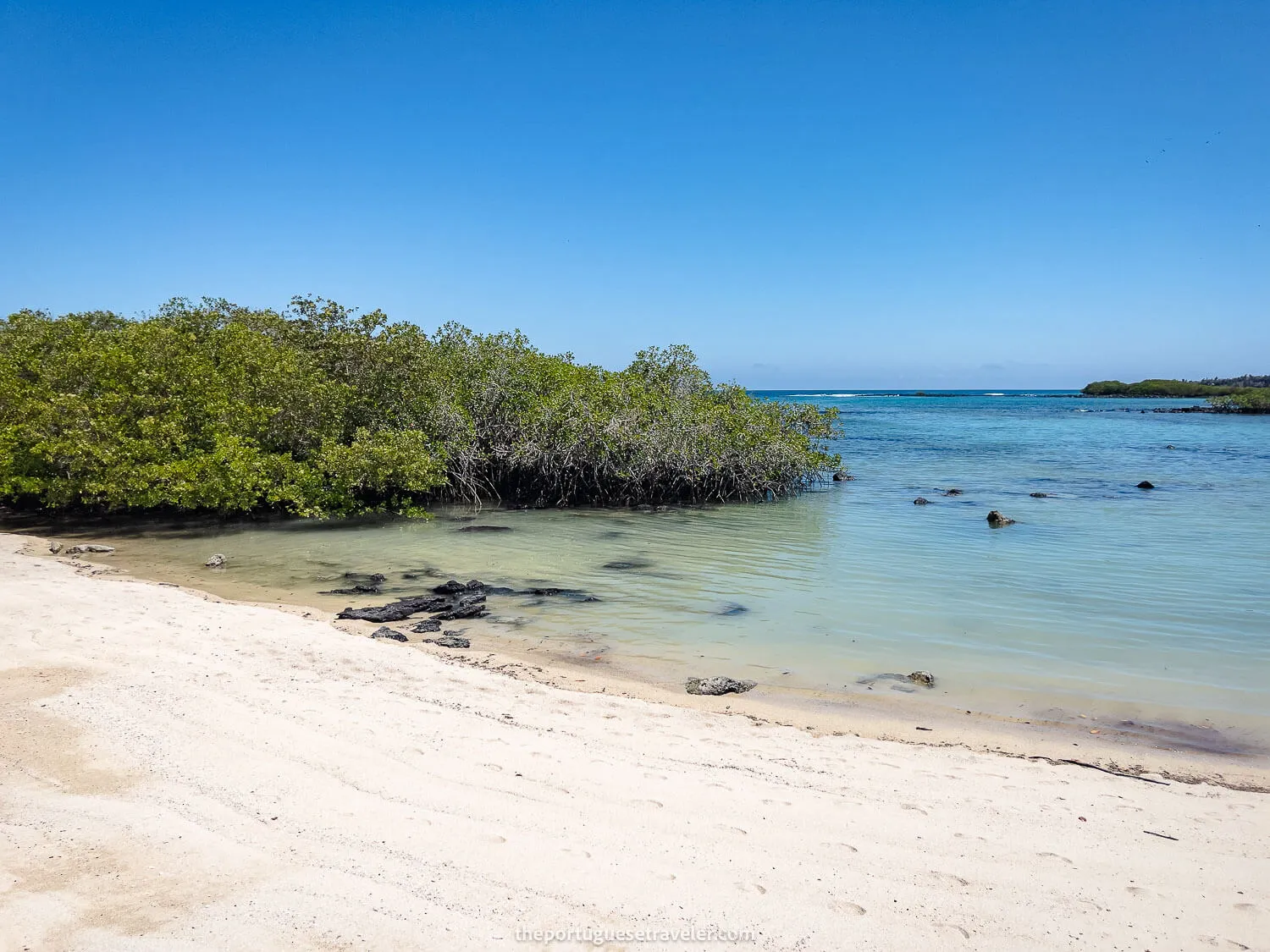 The Alemanes beach in Santa Cruz, Galapagos