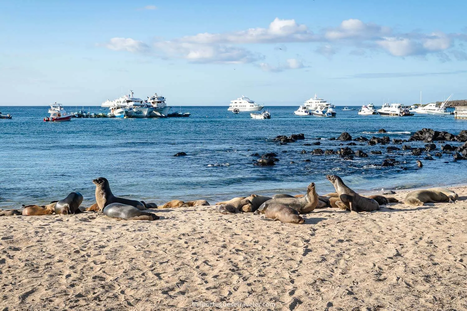 Puerto Baquerizo Moreno's Playa de los Lobos - Where to Stay in the Galapagos