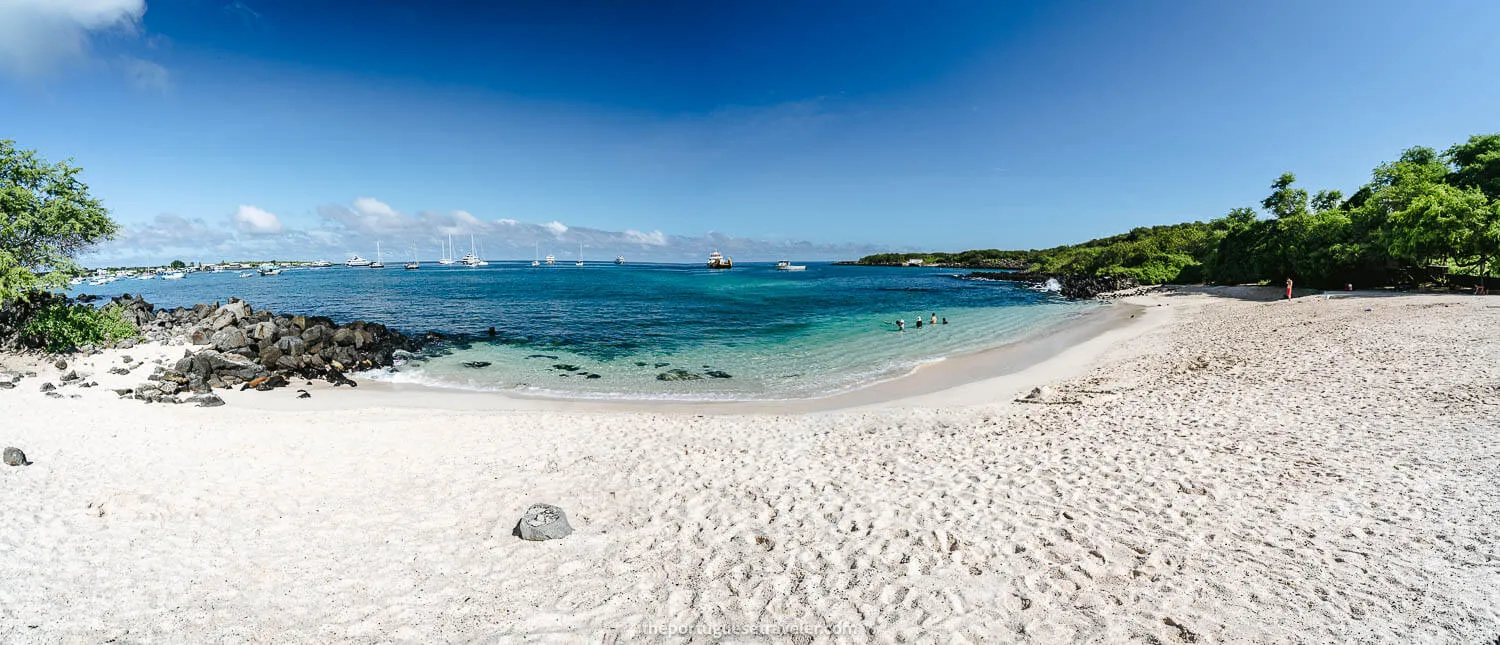 Playa Mann Beach during daylight - Galapagos Cruise vs Island Hopping