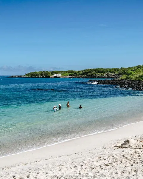 Playa Mann Beach in San Cristobal, Galapagos: All the Info