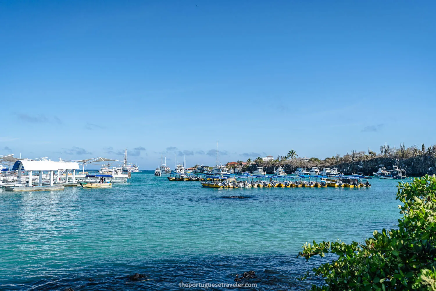Puerto Ayora in Santa Cruz