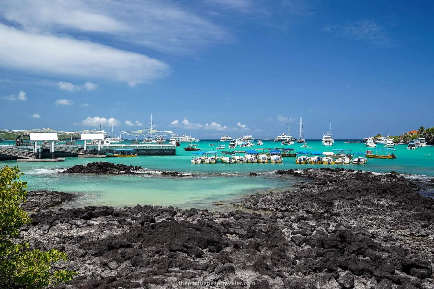 Puerto Ayora's dock in Santa Cruz, Galapagos - Galapagos Islands Transportation Guide