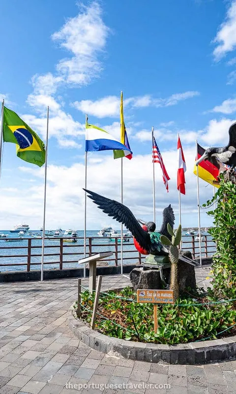 38 Free Things To Do in Galapagos: Explore on Your Own (2026)